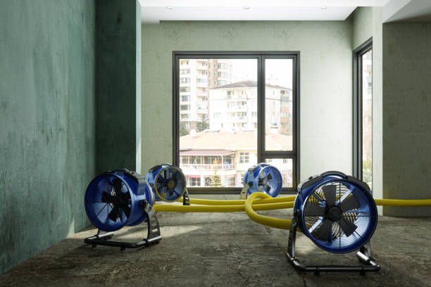 Best Professional water damage repair  in Prosser, WA
