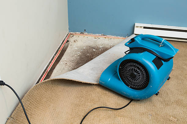 Best Water damage repair service  in Prosser, WA